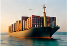 Global transport